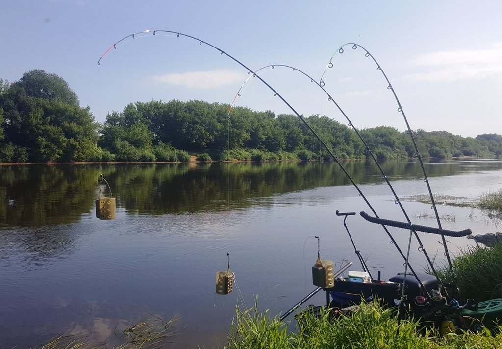 Рыбалка на форель летом и необходимые снасти